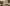 Wohnungskatze beschäftigen